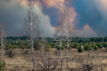 Чого українцям боятись більше: СOVID-19 чи радіації, що може накрити державу від пожежі у Чорнобильській зоні?! А де ж розхвалена Міністром МВС Арсеном Аваковим спецтехніка?!... Чого українцям боятись більше: СOVID-19 чи радіації, що може накрити державу від пожежі у Чорнобильській зоні?! А де ж розхвалена Міністром МВС Арсеном Аваковим спецтехніка?!...