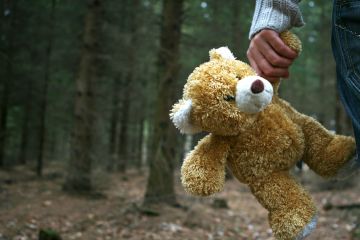 Від початку повномасштабного вторгнення рф надійшли заявки про зникнення безвісти 1 214 дітей  Від початку повномасштабного вторгнення рф надійшли заявки про зникнення безвісти 1 214 дітей