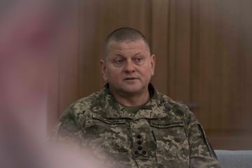 Залужний – генералу США: зупинили 7 БТГ у Сєвєродонецьку, але ворог і далі має 10-кратну перевагу Залужний – генералу США: зупинили 7 БТГ у Сєвєродонецьку, але ворог і далі має 10-кратну перевагу