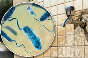 На Херсонщині виявили холерну та кишкову палички, – Держекоінспекція На Херсонщині виявили холерну та кишкову палички, – Держекоінспекція