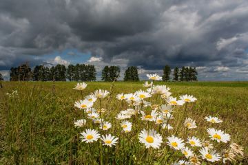 На українців чекає різке похолодання На українців чекає різке похолодання