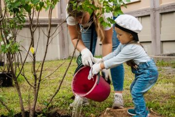 Мешканців Дніпропетровщини запрошують приєднатися до акції «Мільйон дерев — за 24 години» Мешканців Дніпропетровщини запрошують приєднатися до акції «Мільйон дерев — за 24 години»