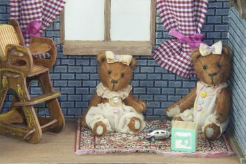 Виставка  «Колекційні іграшки Оксани Скляренко  та Олега Сморчкова» (ведмедики Тедді, солдатики, ляльки) Виставка  «Колекційні іграшки Оксани Скляренко  та Олега Сморчкова» (ведмедики Тедді, солдатики, ляльки)