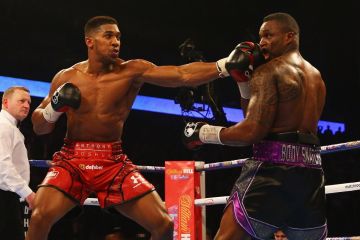 Вайт звернувся до Джошуа: "Нумо повторимо" Вайт звернувся до Джошуа: "Нумо повторимо"