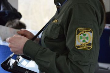 Від початку квітня з рф та білорусі повернулись понад 5,2 тисячі громадян України Від початку квітня з рф та білорусі повернулись понад 5,2 тисячі громадян України