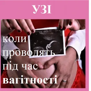 ​Репродуктолог Київ: УЗД (УЗІ) коли проводят під час вагітності