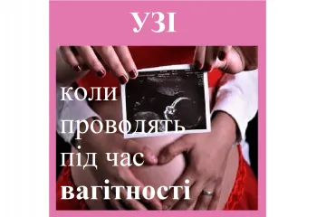 ​Репродуктолог Київ: УЗД (УЗІ) коли проводят під час вагітності