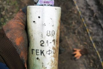 Російське вторгнення в Україну : Майже 30 ворожих снарядів знешкодили на Житомирщині за добу Російське вторгнення в Україну : Майже 30 ворожих снарядів знешкодили на Житомирщині за добу