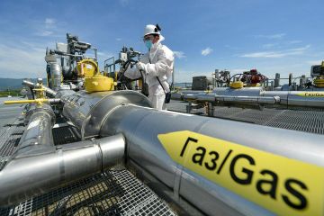 ЄС і країни G7 планують заборонити експорт російського газу трубопроводами, якими раніше були призупинені постачання ЄС і країни G7 планують заборонити експорт російського газу трубопроводами, якими раніше були призупинені постачання
