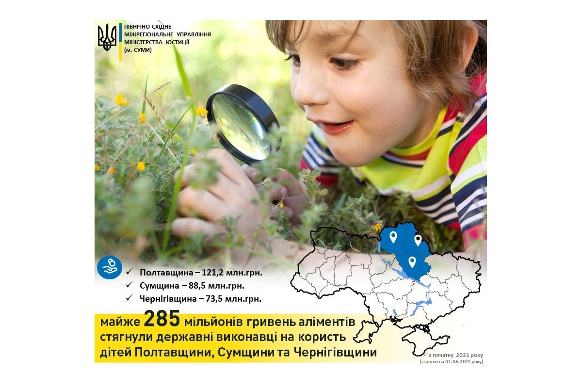 285 мільйонів гривень аліментів примусово повернули дітям 285 мільйонів гривень аліментів примусово повернули дітям
