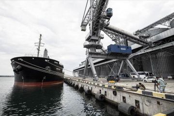 З портів України вирушили вже 16 суден із зерном, - Зеленський З портів України вирушили вже 16 суден із зерном, - Зеленський