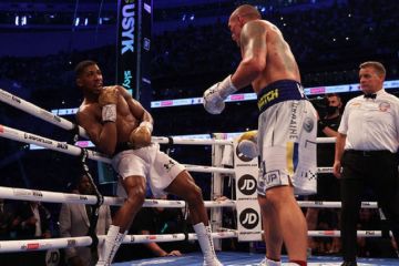 Усик и Джошуа поделят гонорар в ответном поединке Усик и Джошуа поделят гонорар в ответном поединке