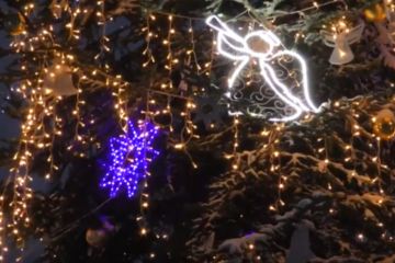 16 метрова ялинка у Калуші  16 метрова ялинка у Калуші