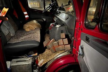 Затримано викрадача плитки для пішохідної панелі на Київщині Затримано викрадача плитки для пішохідної панелі на Київщині