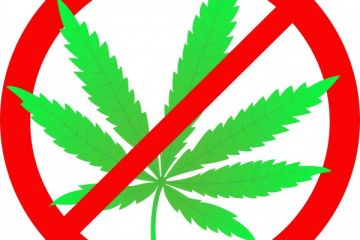 Підозрюваний у наркоторгівлі очікуватиме на вирок суду за ґратами Підозрюваний у наркоторгівлі очікуватиме на вирок суду за ґратами