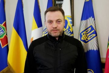 Звернення міністра внутрішніх справ України Дениса Монастирського Звернення міністра внутрішніх справ України Дениса Монастирського