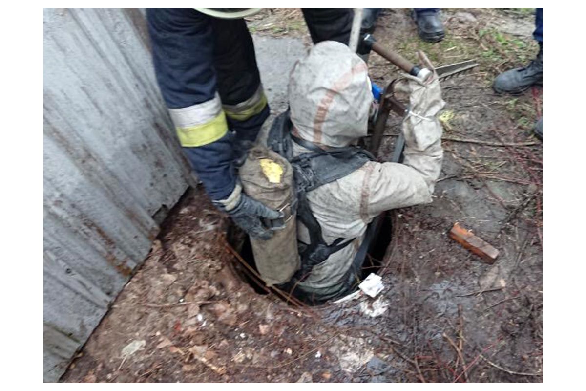 Визволителі: в Дніпрі рятувальники визволили цуценят Визволителі: в Дніпрі рятувальники визволили цуценят