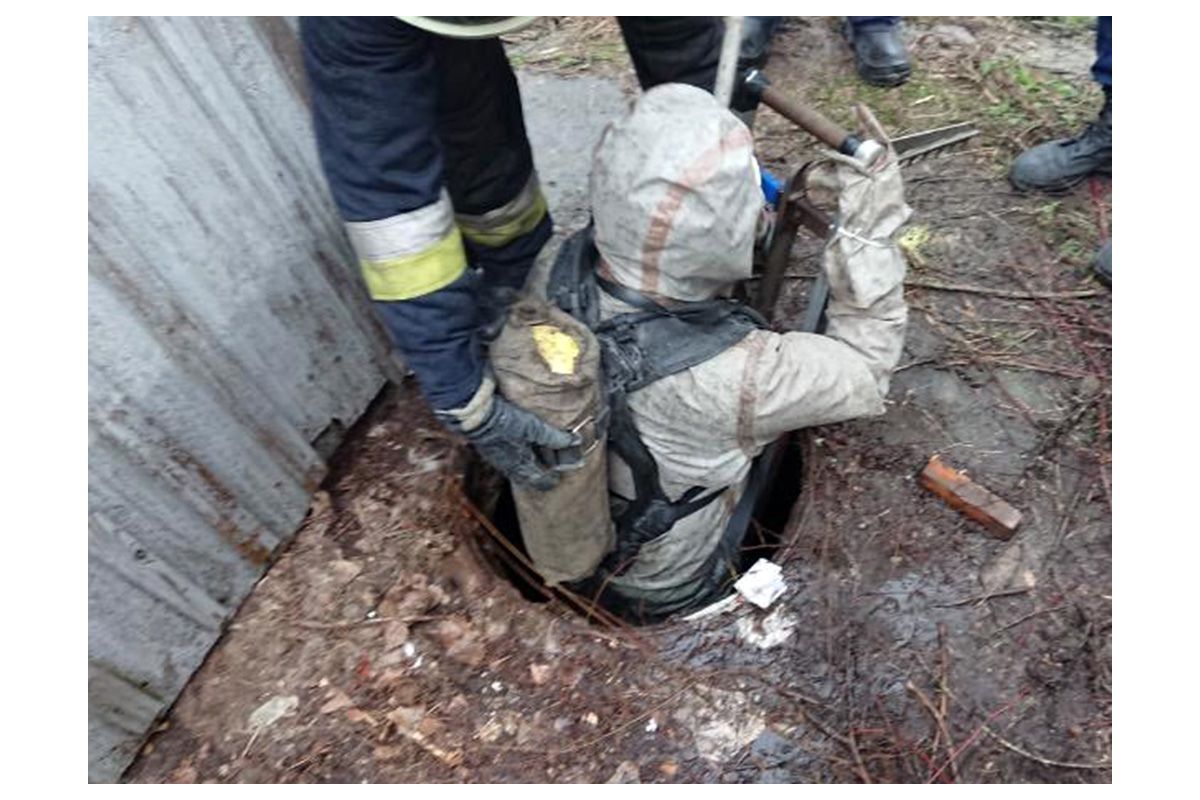 Визволителі: в Дніпрі рятувальники визволили цуценят