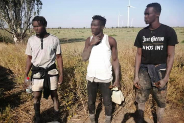 ГВІНЕЙЦІ З ПАРОПЛАВА. РЯТУВАЛЬНИМ КРУГОМ ДО ОЧАКОВА ГВІНЕЙЦІ З ПАРОПЛАВА. РЯТУВАЛЬНИМ КРУГОМ ДО ОЧАКОВА