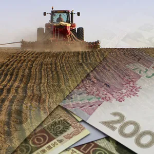 ​Уряд України впроваджує нову програму виплат для місцевих фермерів, проте не для всіх: кому і скільки буде надано