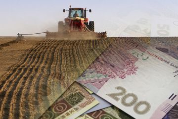 Уряд України впроваджує нову програму виплат для місцевих фермерів, проте не для всіх: кому і скільки буде надано Уряд України впроваджує нову програму виплат для місцевих фермерів, проте не для всіх: кому і скільки буде надано
