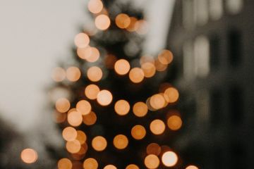 Феєрія в Дніпропетровському ботанічному саду: нехай у серці завжди вирує магія Феєрія в Дніпропетровському ботанічному саду: нехай у серці завжди вирує магія