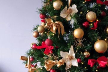 Оздоблення головної ужгородської ялинки на площі Петефі   Оздоблення головної ужгородської ялинки на площі Петефі