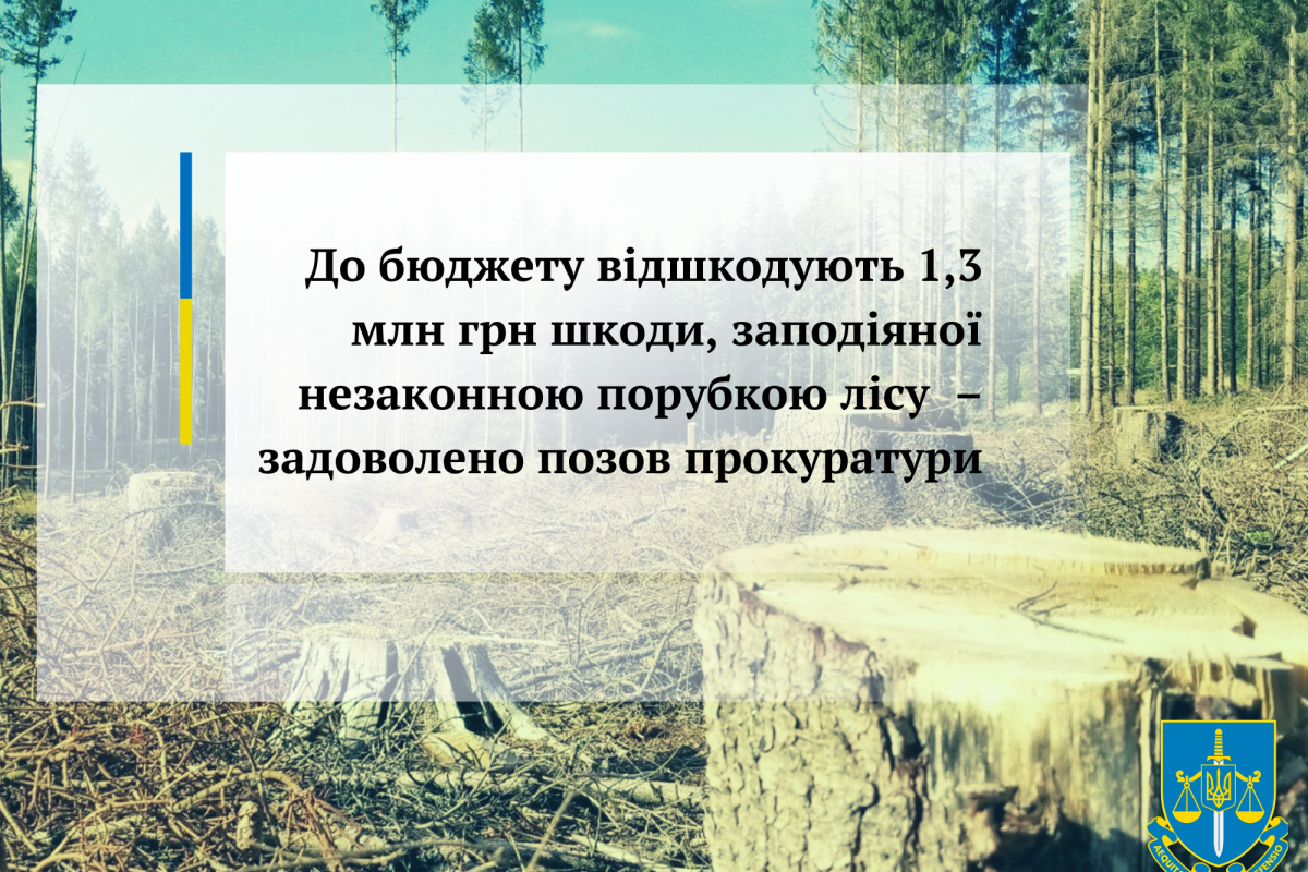 До бюджету відшкодують 1,3 млн грн шкоди, заподіяної незаконною порубкою лісу – задоволено позов прокуратури До бюджету відшкодують 1,3 млн грн шкоди, заподіяної незаконною порубкою лісу – задоволено позов прокуратури