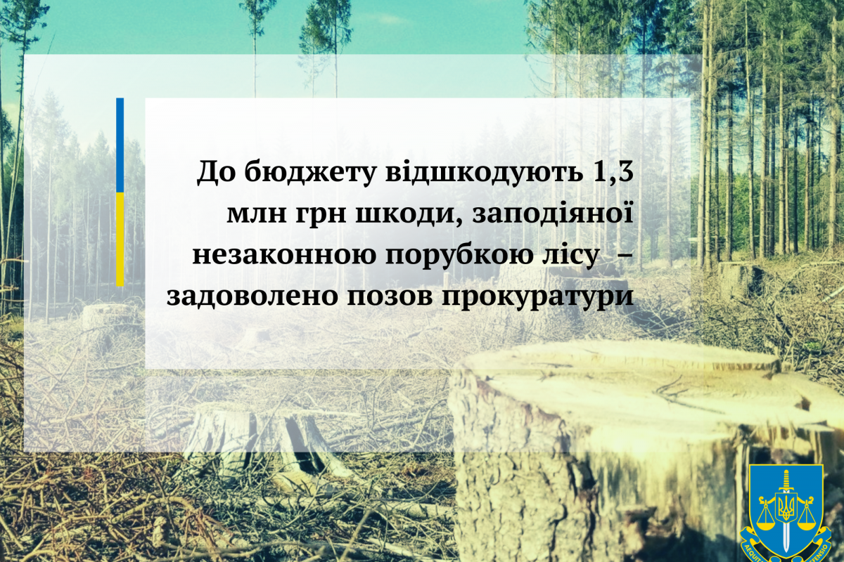 До бюджету відшкодують 1,3 млн грн шкоди, заподіяної незаконною порубкою лісу  – задоволено позов прокуратури