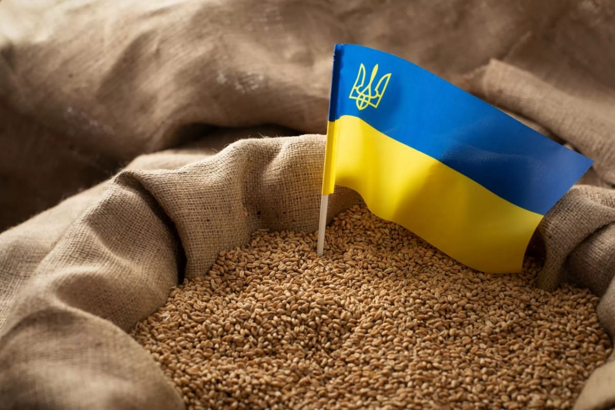 Міністри п'яти країн Євросоюзу вимагають повернути мито на імпорт українського зерна Міністри п'яти країн Євросоюзу вимагають повернути мито на імпорт українського зерна