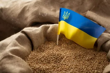 ​Міністри п'яти країн Євросоюзу вимагають повернути мито на імпорт українського зерна