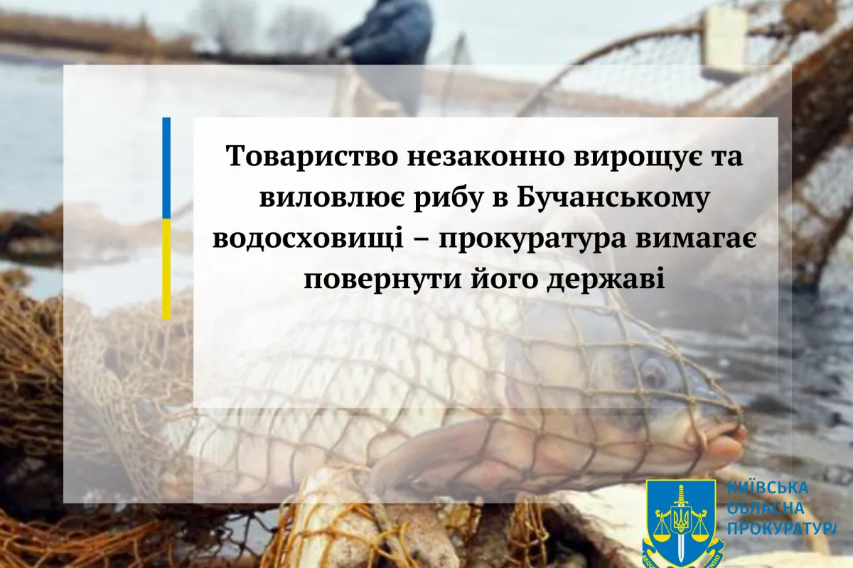 Товариство незаконно вирощує та виловлює рибу в Бучанському водосховищі – прокуратура вимагає повернути його державі