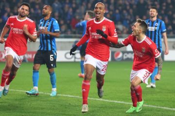 Кажется, тут все ясно. Брюгге – Бенфика 0:2. Видео голов и обзор матча Кажется, тут все ясно. Брюгге – Бенфика 0:2. Видео голов и обзор матча