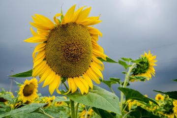 Дніпропетровщина вкотре ввійшла до трійки лідерів у рейтингу спроможних громад – Валентин Резніченко Дніпропетровщина вкотре ввійшла до трійки лідерів у рейтингу спроможних громад – Валентин Резніченко