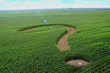 Відкриття ринку землі: які існують гарантії захисту прав на землю? Відкриття ринку землі: які існують гарантії захисту прав на землю?