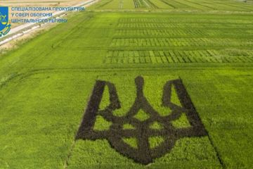 Завдяки Полтавській спецпрокуратурі державі повернуто земельну ділянку вартістю понад 1,7 млн грн Завдяки Полтавській спецпрокуратурі державі повернуто земельну ділянку вартістю понад 1,7 млн грн