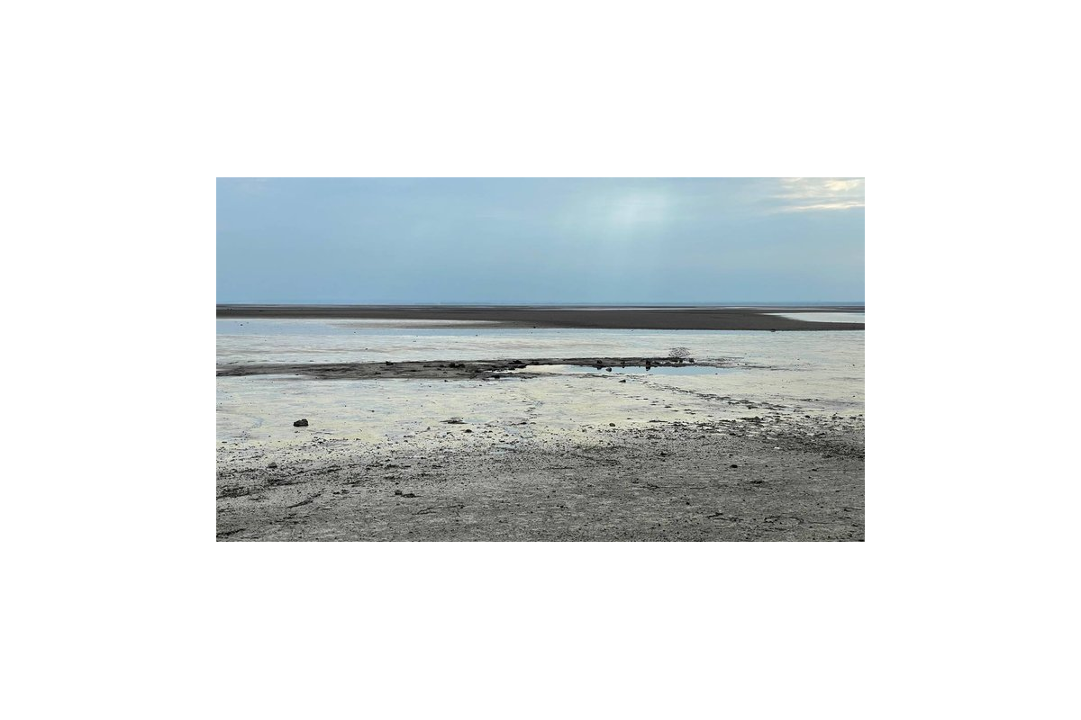 У морській воді біля Одеського порту знайшли астровірус та кишкову інфекцію У морській воді біля Одеського порту знайшли астровірус та кишкову інфекцію
