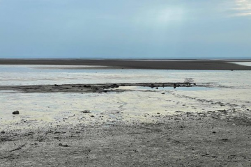 У морській воді біля Одеського порту знайшли астровірус та кишкову інфекцію У морській воді біля Одеського порту знайшли астровірус та кишкову інфекцію