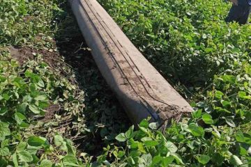 Вчора у небі над Кременчуком ППО збило російську ракету  Вчора у небі над Кременчуком ППО збило російську ракету