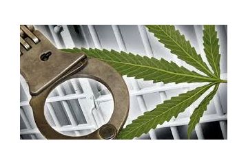 Прокуратура домоглась скасування незаконного вироку, яким наркоділка засуджено до умовного покарання за незаконне зберігання канабісу у великих розмірах Прокуратура домоглась скасування незаконного вироку, яким наркоділка засуджено до умовного покарання за незаконне зберігання канабісу у великих розмірах