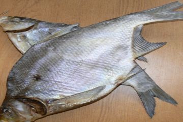 Мешканка Кривого Рогу померла через вживання ляща, соленого власноруч Мешканка Кривого Рогу померла через вживання ляща, соленого власноруч