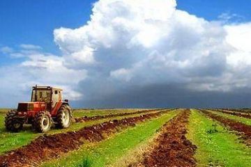Прокуратура повернула земельну ділянку рекреаційного призначення вартістю 15,7 млн грн Прокуратура повернула земельну ділянку рекреаційного призначення вартістю 15,7 млн грн
