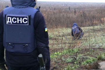 Для прискорення розмінування Україна залучатиме інвестиції у цю галузь Для прискорення розмінування Україна залучатиме інвестиції у цю галузь