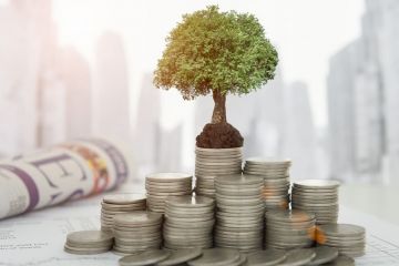 На що підуть гроші з інвестицій у Кривому Розі? Нові амбулаторії та дитячій садок! На що підуть гроші з інвестицій у Кривому Розі? Нові амбулаторії та дитячій садок!