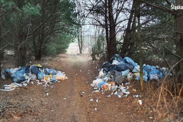 Українець створив стихійне звалище у Польщі  Українець створив стихійне звалище у Польщі