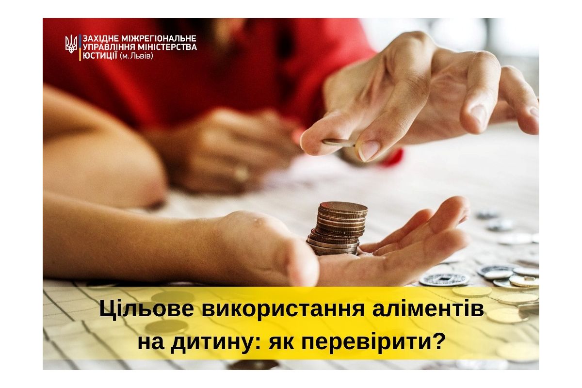 Як перевірити чи аліменти на дитину використовуються за цільовим призначенням? Як перевірити чи аліменти на дитину використовуються за цільовим призначенням?