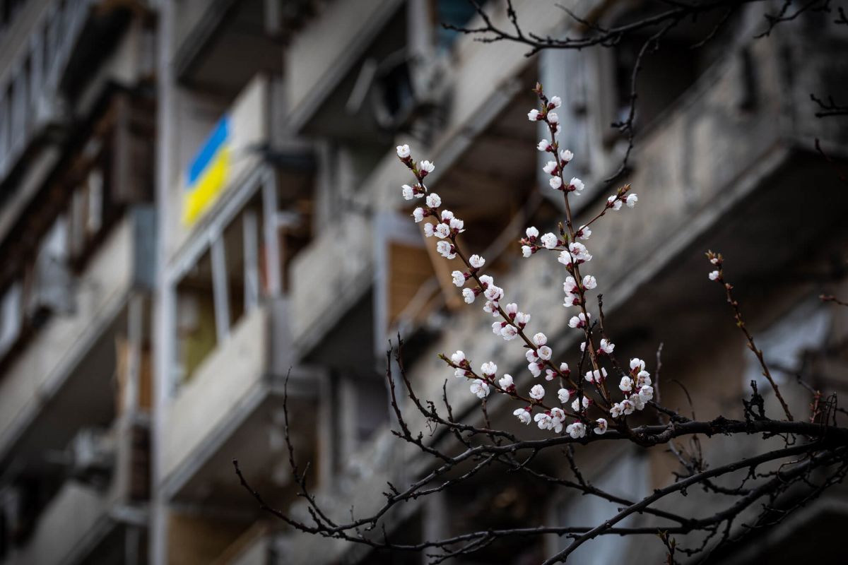 Хто оплатить рахунки за знищення росією України? Хто оплатить рахунки за знищення росією України?