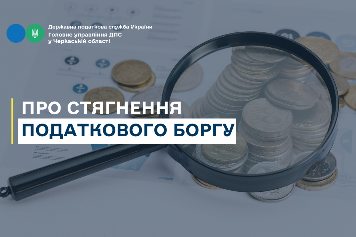 Стягнення податкового боргу Стягнення податкового боргу