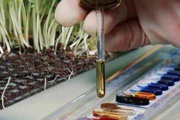 Прокуратура домоглась реального повернення державі 1 722 га незаконно відчуженої землі вартістю 41,3 млн грн Прокуратура домоглась реального повернення державі 1 722 га незаконно відчуженої землі вартістю 41,3 млн грн