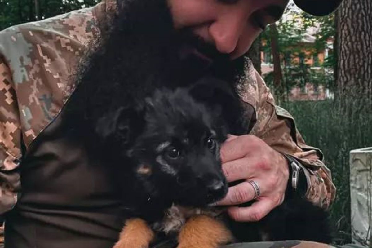 Людина з великим серцем. Внаслідок ракетного удару по Вінниці загинув волонтер, доброволець, журналіст громадської організації «Дорожній контроль Вінниця» Володимир Даценко Людина з великим серцем. Внаслідок ракетного удару по Вінниці загинув волонтер, доброволець, журналіст громадської організації «Дорожній контроль Вінниця» Володимир Даценко